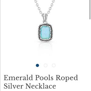 Montana silversmith necklace-never worn